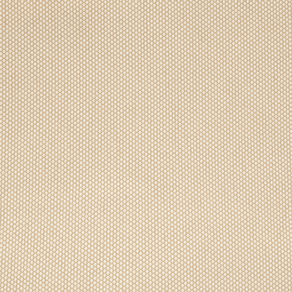 GOA  WP CREAM