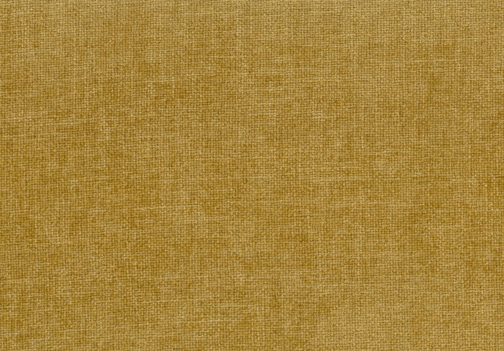 MEGAN 11