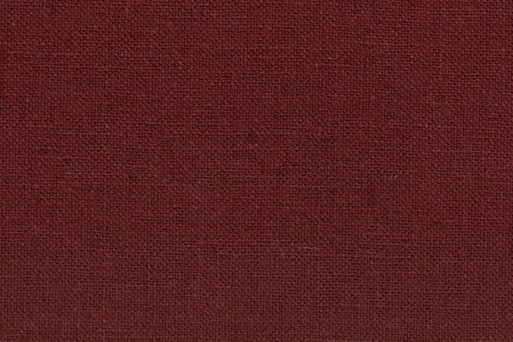 Sami Lino 10