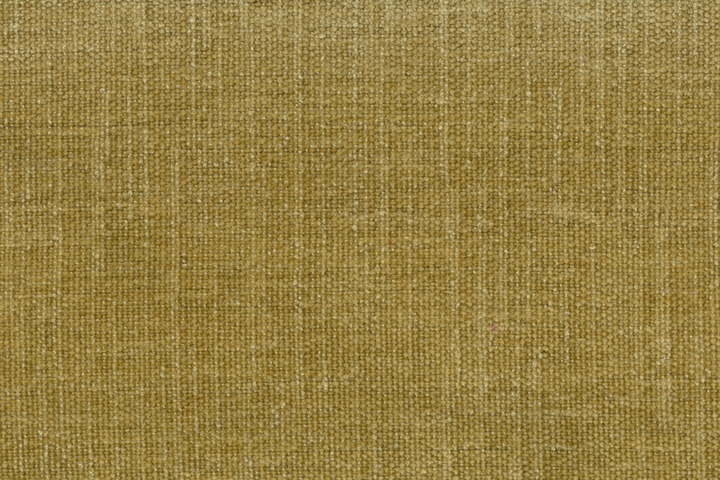 PETRUS 13
