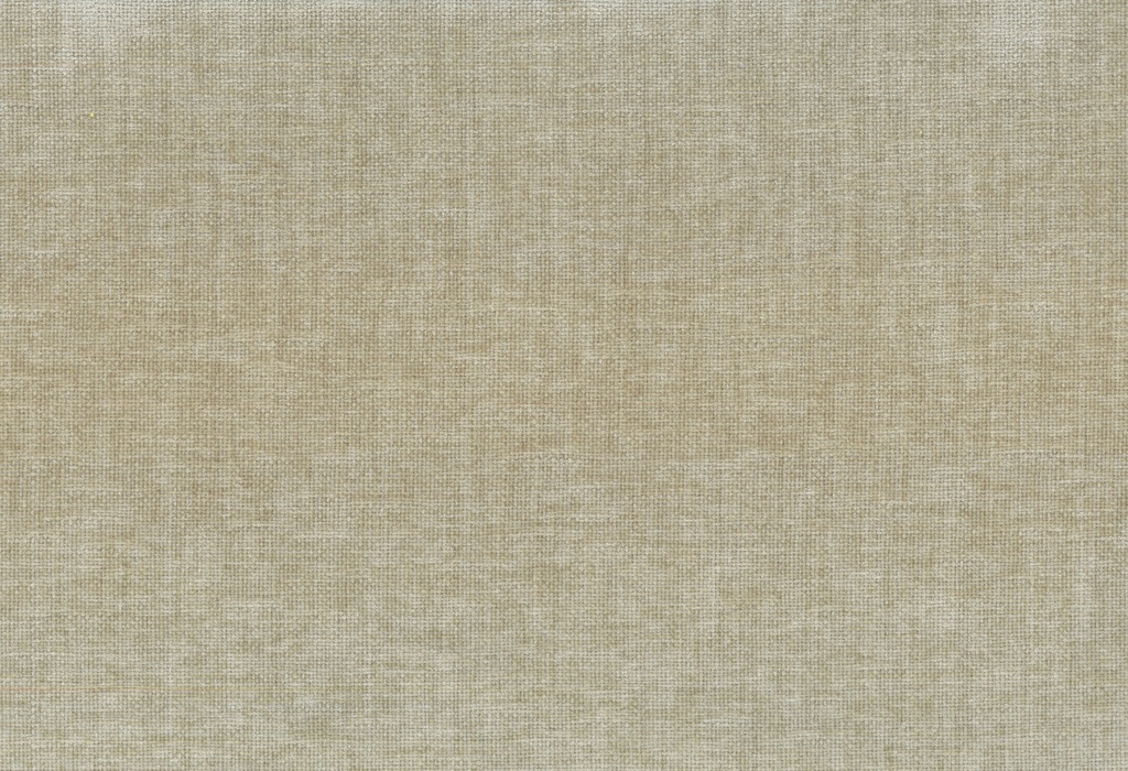 PETRUS 14 