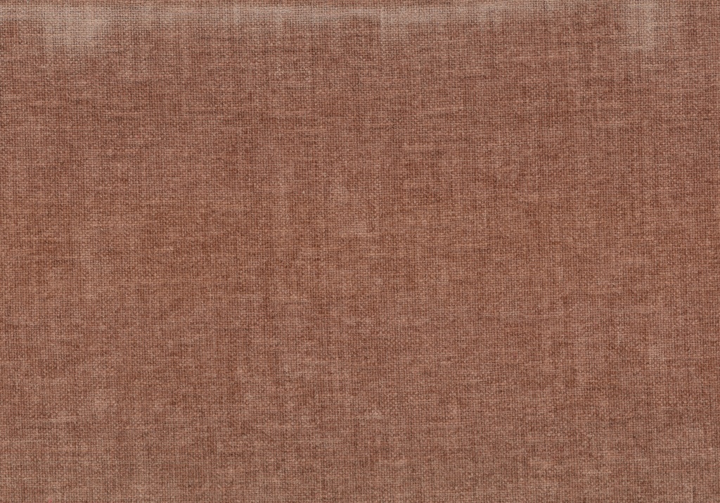 PETRUS 19