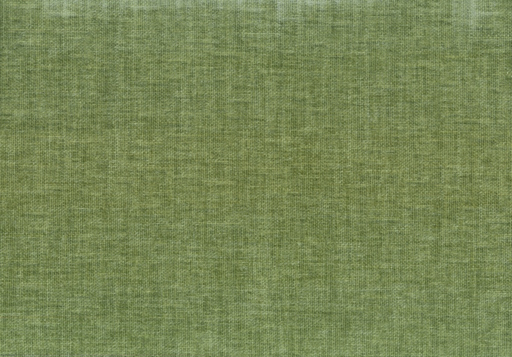 PETRUS 31