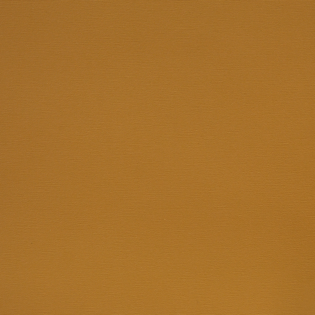 CAPRI 08