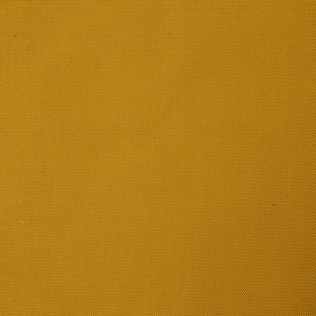 LINTEX WP 08 OLIO