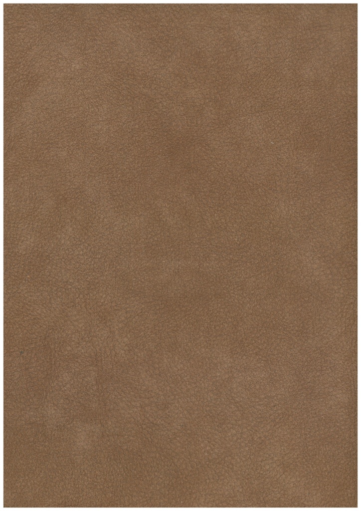 SL 179 06