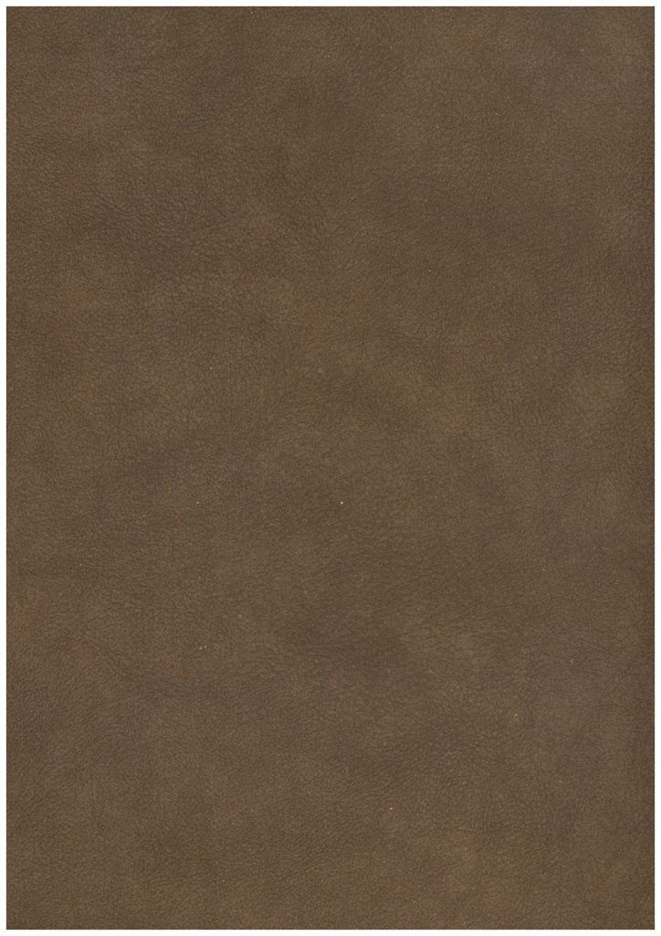 SL 179 08