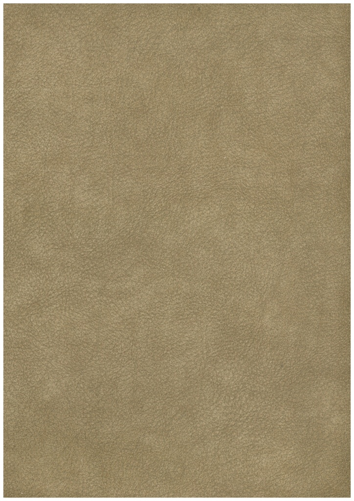 SL 179 07