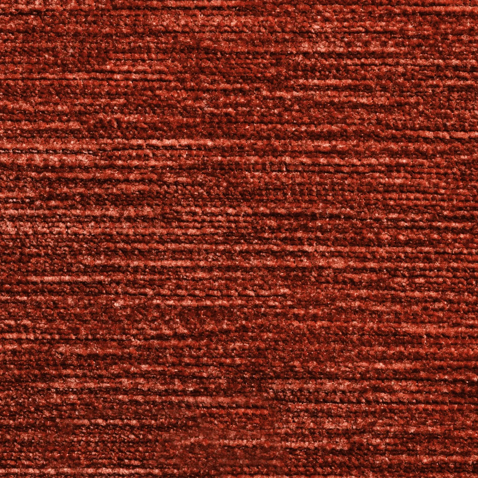 AVELINE 649