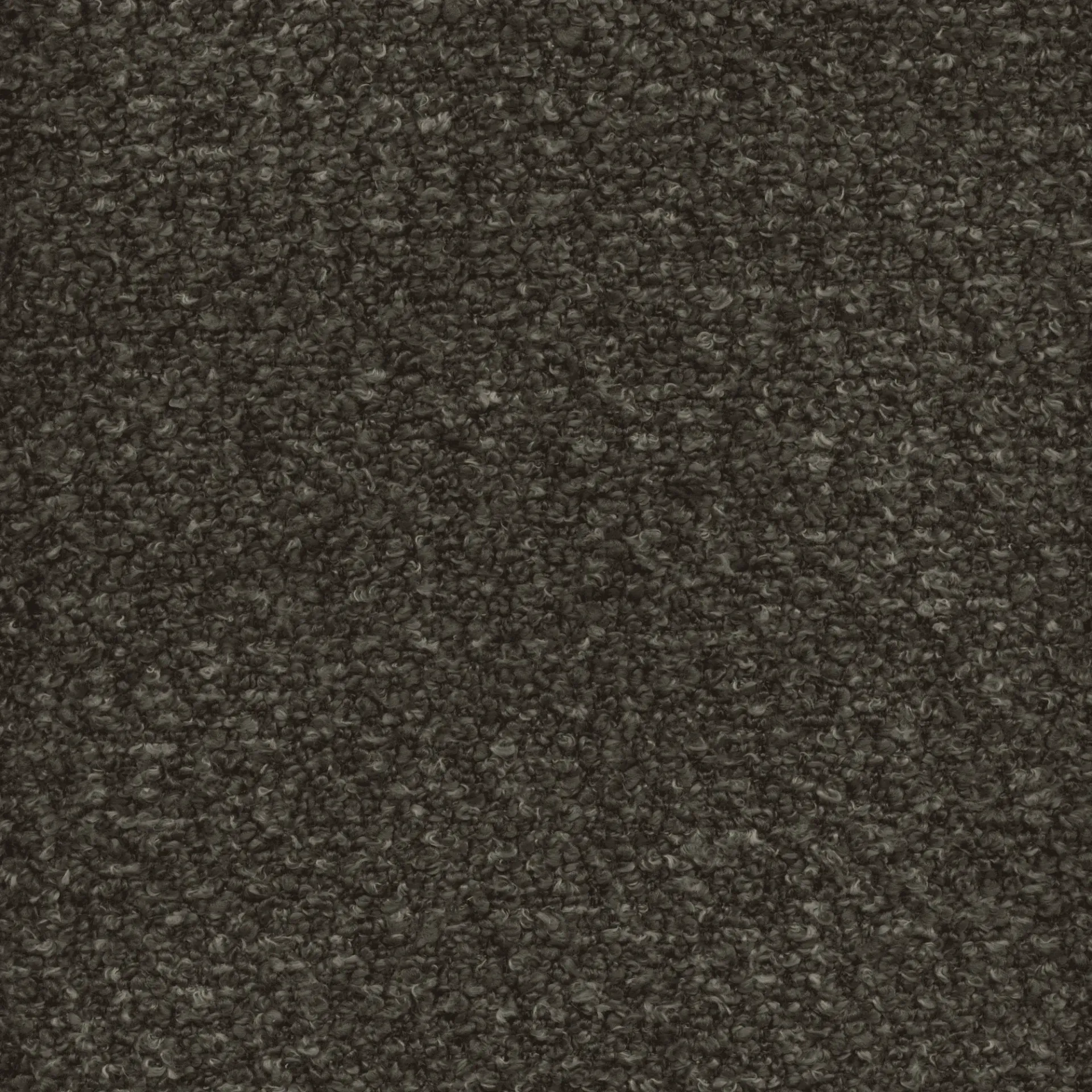 SIENA 435