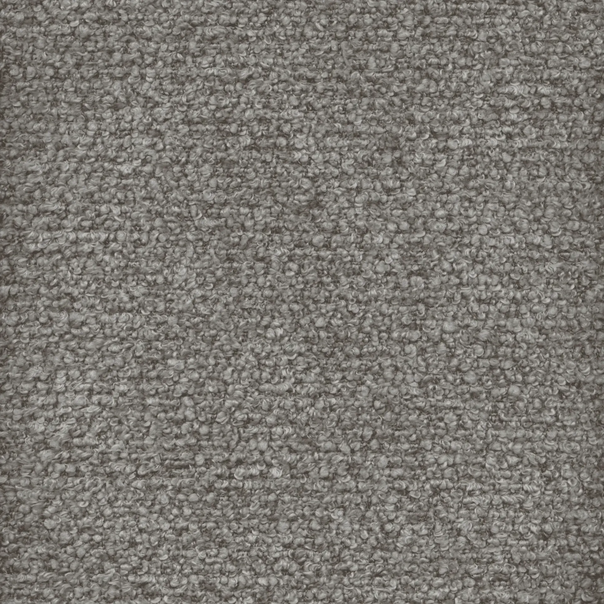 SIENA 482