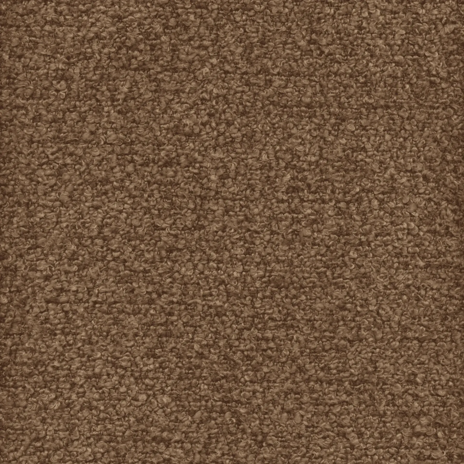 SIENA 606