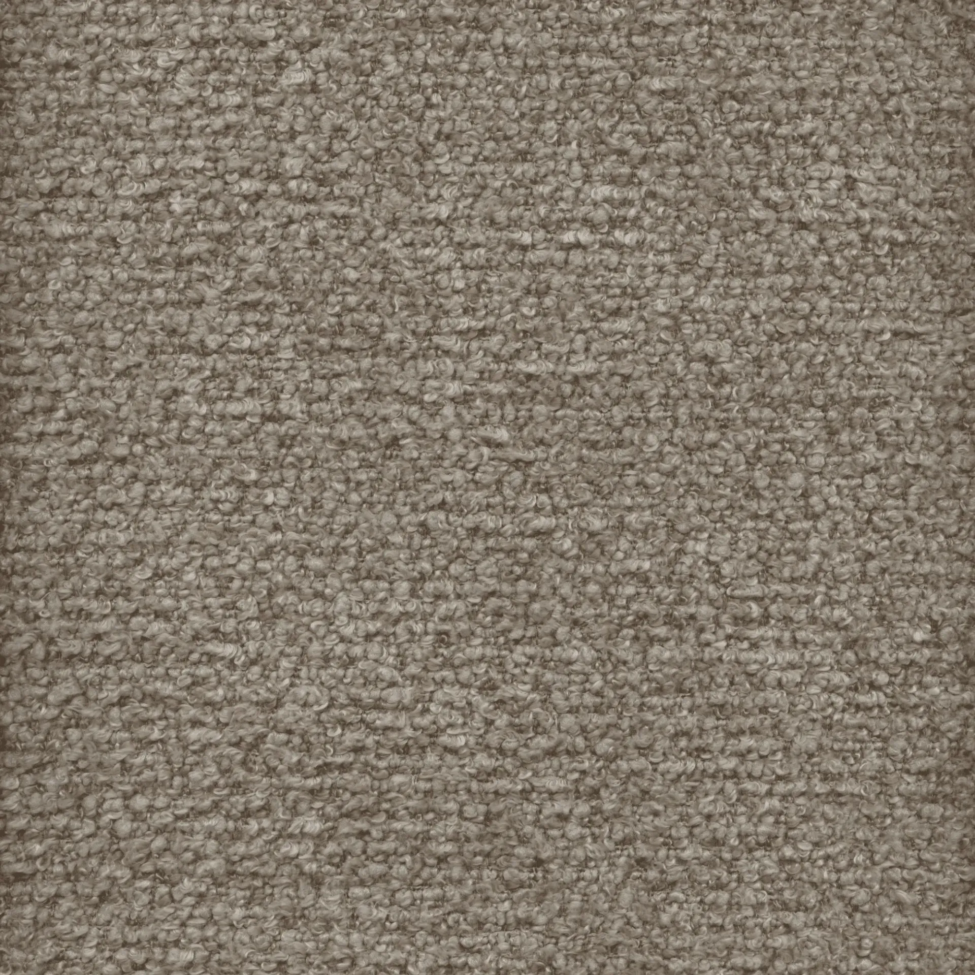 SIENA 608