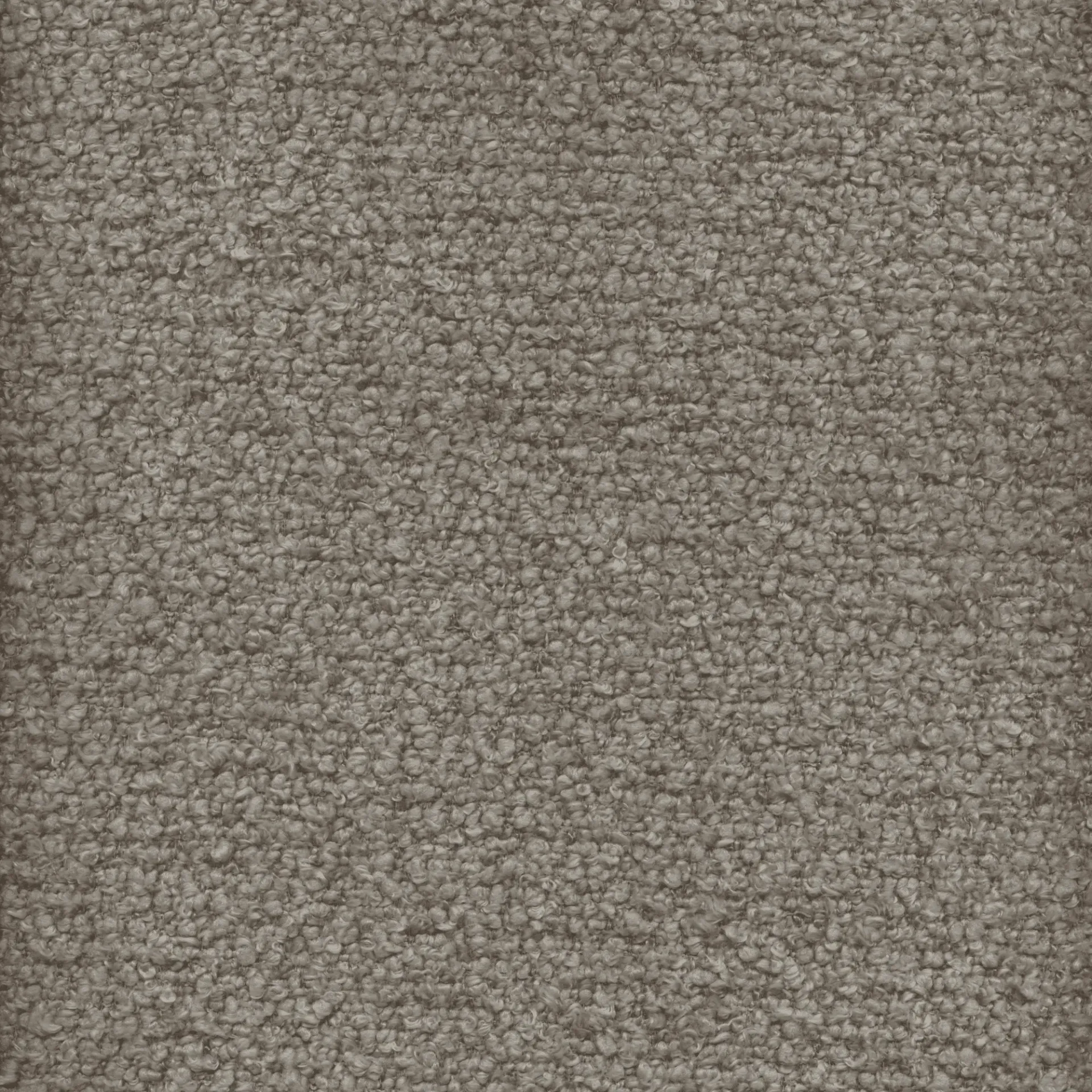 SIENA 710