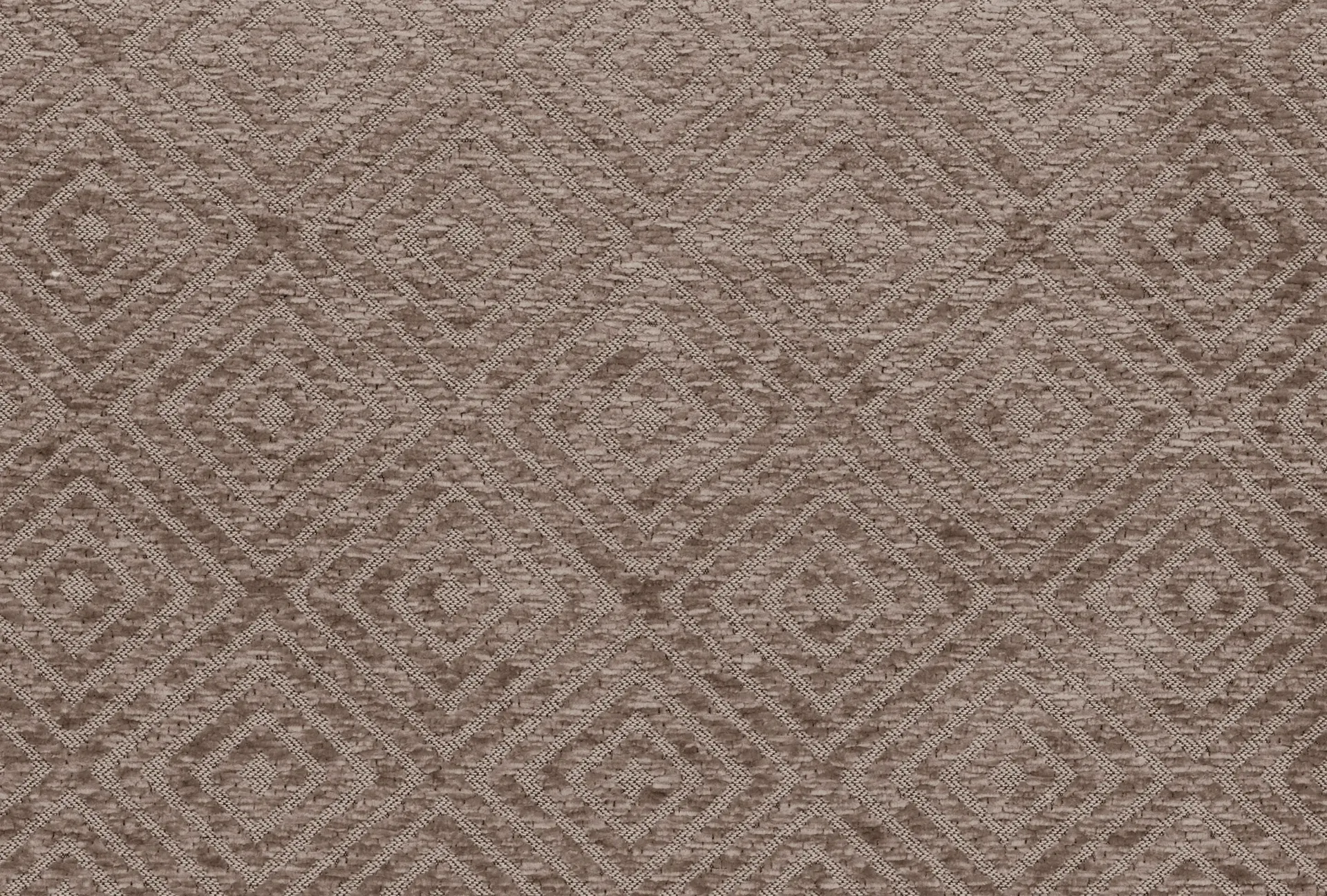 VENUS 04