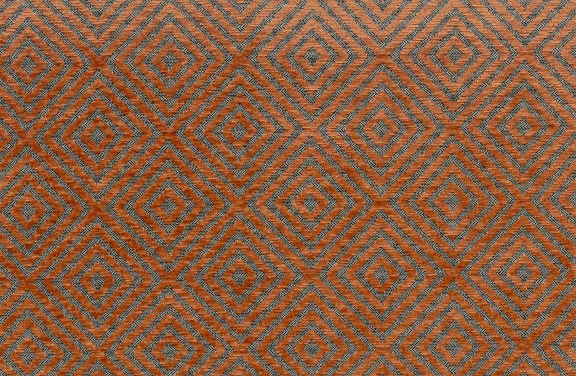 VENUS 06