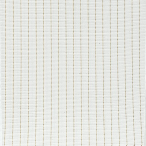 [5000240] LINTEXL F1+WP-01
