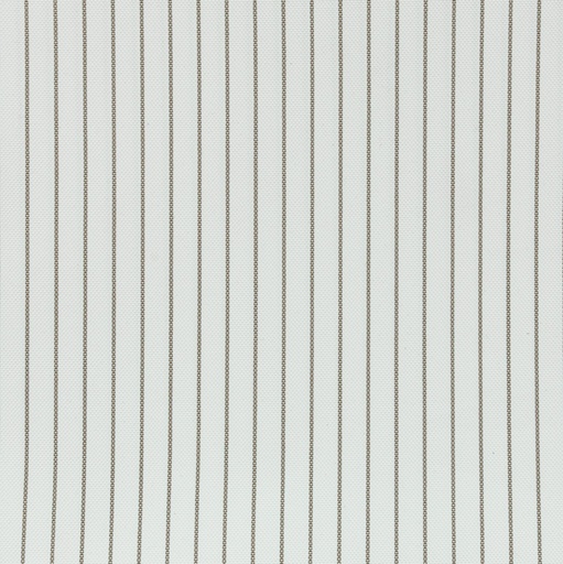 [5000242] LINTEXL F1+WP-03