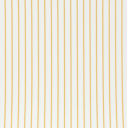 [5000244] LINTEXL F1+WP-05
