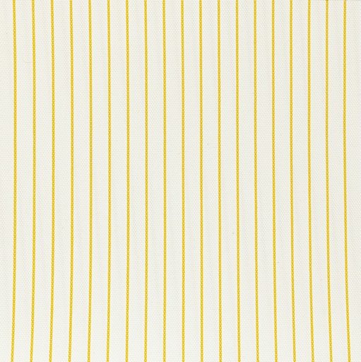 [5000247] LINTEXL F1+WP-08