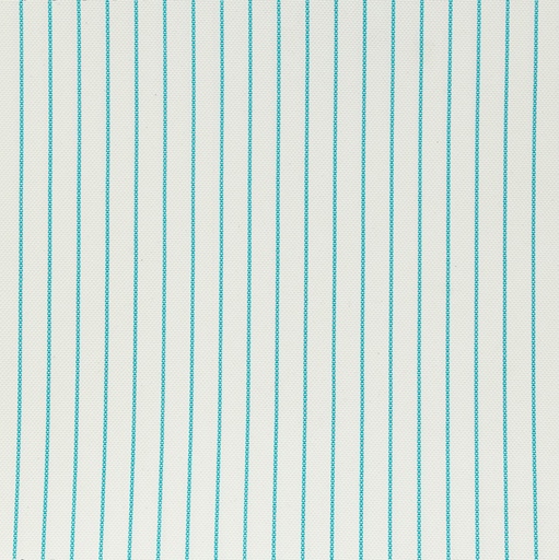[5000251] LINTEXL F1+WP-12