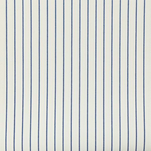 [5000252] LINTEXL F1+WP-13
