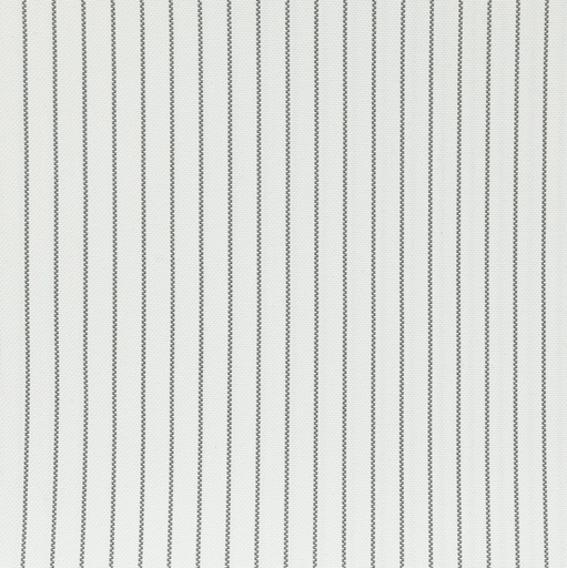 [5000253] LINTEXL F1+WP-14