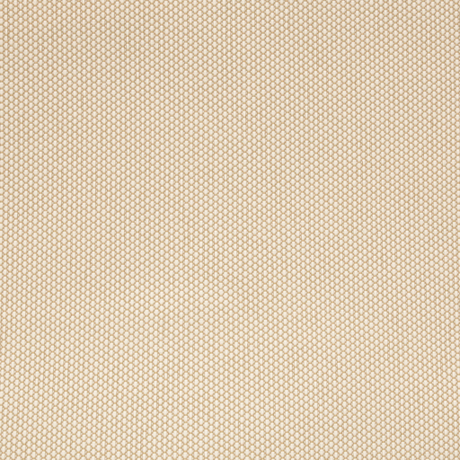 [5000282] GOA  WP CREAM