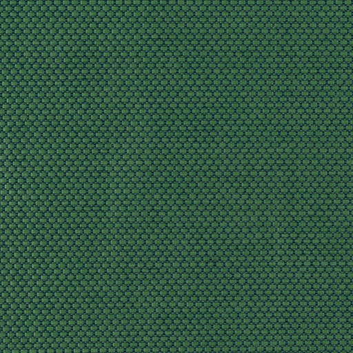 [5000288] GOA  WP WOODLAND