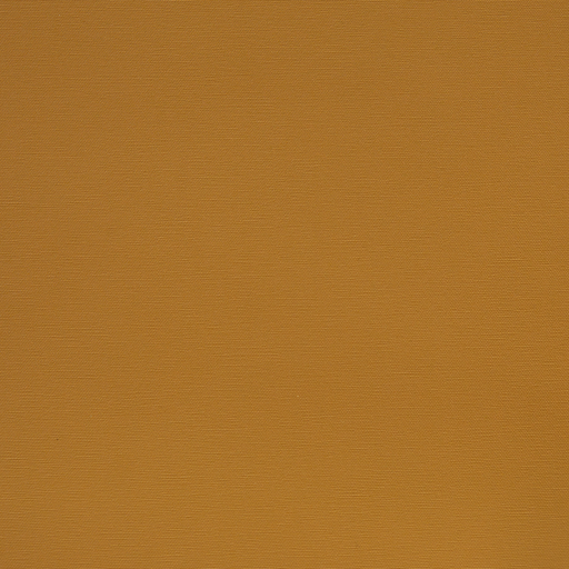 CAPRI 08