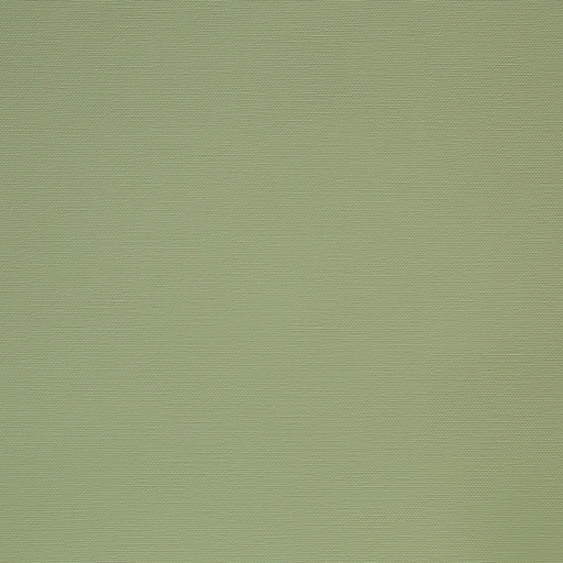 CAPRI 18