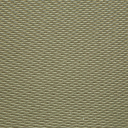 LINTEX WP 03 TAUPE
