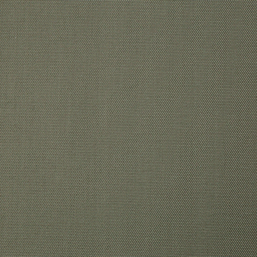 LINTEX WP 04 ASH