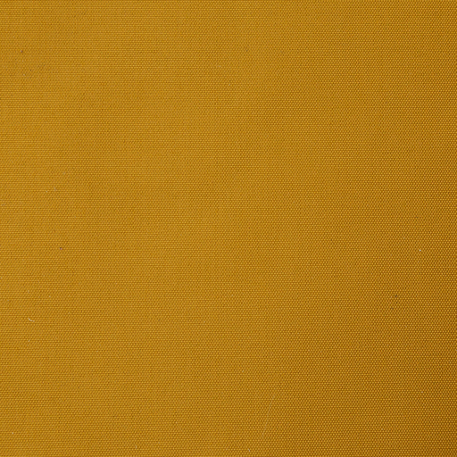 LINTEX WP 08 OLIO