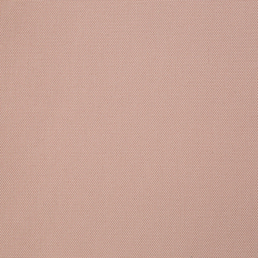 LINTEX WP 10 ROSEDUST