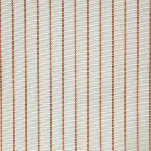 LINTEX WP S1-OLIO