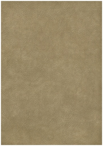 SL 179 07